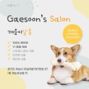 개순이 살롱 이미지