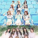 데일리엠카 이미지