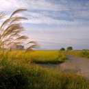 아침들녘 이미지