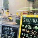 청춘셀프24 이미지