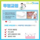 나무 치과기공소 이미지