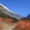 네팔, 고사인쿤드와 랑탕을 트래킹하면서 - 6일차 &photo by Bluegull 이미지