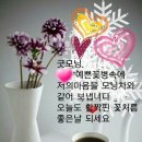 행복한 하루 보내세요 이미지