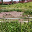 상모리-21 이미지