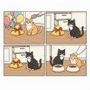 개와고양이 - 사상구 새벽시장로56번가길 4 | 개와고양이