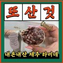 라미네 | 제주도민의 강력 추천 집에서 먹을 수 있는 막창순대 라미네순대 내돈내산 후기 🐽