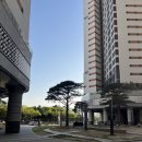 부천시청미용실 꼼블리살롱 다운펌 후기