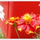 상서우체국 이미지