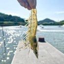 (유)신안환경 이미지