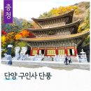 구인사 천태중앙박물관 2층 | 단양 가볼만한 곳 구인사 사찰 국내 단풍 명소 대조사전
