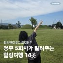 봉황로 33 | 경주 APEC 기념으로 미리 경주여행 | 경주뚜벅이 1박 2일 가이드