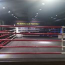 WS복싱클럽 이미지