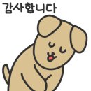 방배중앙로15길 39 이미지