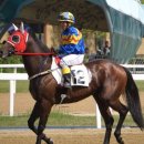 연두목장 이미지