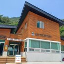 천상의 나무 | 천상의 화원, 곰배령 트레킹 후기 ｜설악산 국립공원7.4km 코스