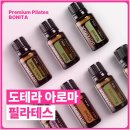 보니따필라테스