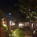 코끼리 카서비스 이미지