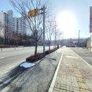 중로(보)1-1-10 이미지