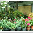 금진3리 이미지