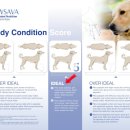 페이지동물병원 이미지