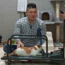 호동이 TV리포트