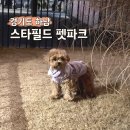 스타펫 | 하남 스타필드 펫파크 애견 동반 놀이터 솔직 후기