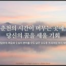 우두공인중개사사무소 이미지