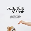 먼치바이트