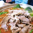 수양1 농장 이미지