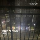 260705(일) 이미지