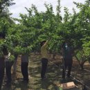 청통면사무소 이미지