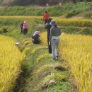 교리농장 이미지