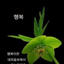 우리;꽃 이미지