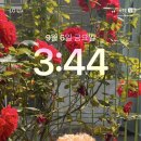나*호 - 안양시 동안구 | 나*호