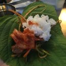 돌리고제주도야지 이미지