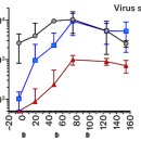 CW-1940-01 이미지