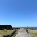 성안 벽화마을 벽화 | 🏝️제주도 4박 5일 혼여행 [2일차] 5월 4일 — 자매 국수 먹고 해안가 따라서 바다 가까이 즐기기