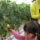 물금엔젤어린이집 이미지