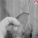 대전우리동물의료센터 이미지