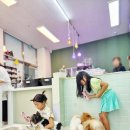 약지애견카페 서창점 이미지