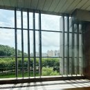 쏘렐라 | 죽전 보정동 파스타 맛집 쏘렐라 방문 후기