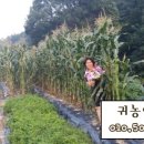 준옹농장 이미지