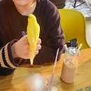 버드소리 대구수성점 이미지