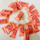 푸치푸치 | 글리코 푸치푸딩 미니 후기 일본 간식 추천 디저트