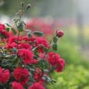 하남체육공원 이미지