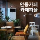 하울 | 안동시내카페 카페하울(cafe haul) 후기