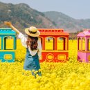 북면홈마트 이미지