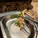 참소오리 이미지