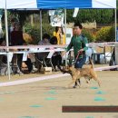 화수초등학교 이미지