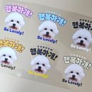 특별하개 | 반려동물 UV DTF 방수 스티커 제작 후기(소품 및 텀블러 꾸미기)